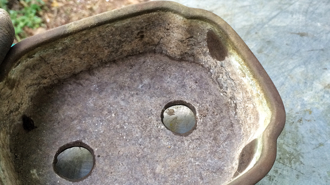 Cleaning Bonsai Pots